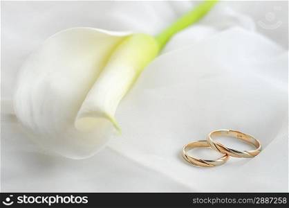 wedding rings and white flower on white material