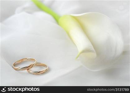 wedding rings and white flower on white material