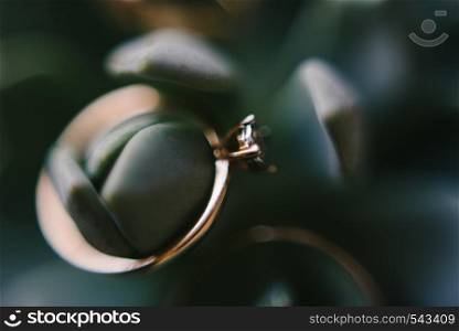 Wedding rings close-up macro shot.. Wedding rings close-up macro shot. Rings of the bride and groom