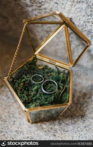 Wedding rings on a golden box with glass and moss. KEILA & RUB?