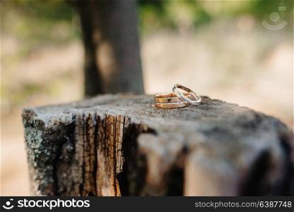 wedding rings with a wedding decor
