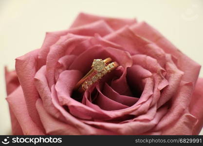 Wedding set in pink rose