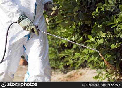 Weed control spray fumigation. Industrial chemical agriculture. Man spraying toxic pesticides, pesticide, insecticides on fruit lemon growing plantation, Spain, 2019. Man in mask fumigating.. Man spraying toxic pesticides, pesticide, insecticides on fruit lemon growing plantation, Spain, 2019.