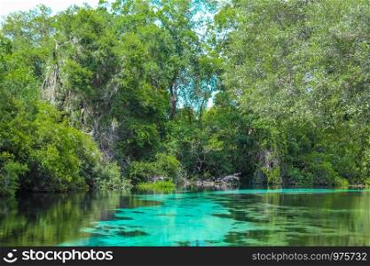 Weeki Wachee Springs River with blues and greens