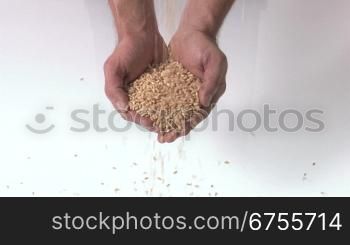 Weizen rieselt in gefaltete HSnde