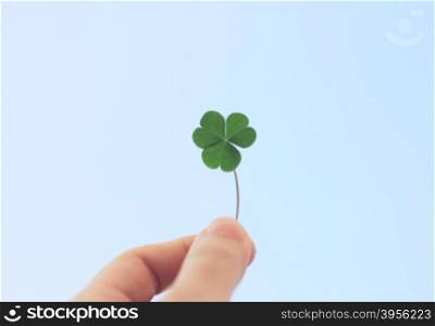 Welcome to spring concept with hand holding clover leaf on blue sky&#xD;