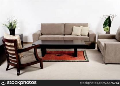 Well decorated modern living room interior with brownish couches