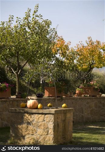 well in the garden of a luxury country house in the famous Tuscan hills, Italy.