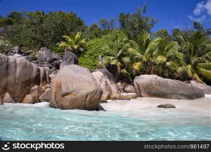Well-known rocky coast with palm trees and sea in paradise