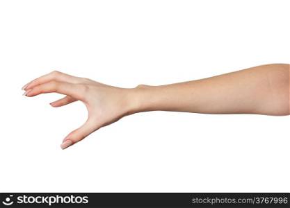 Well shaped Female hand reaching for something isolated on a white background