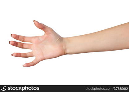 Well shaped Female hand reaching for something isolated on a white background