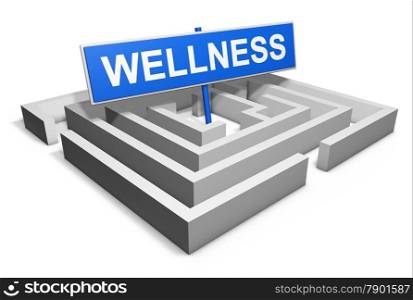Wellness, healthy living and lifestyle concept with a labyrinth and a blue goal sign, 3d rendering isolated on white background.
