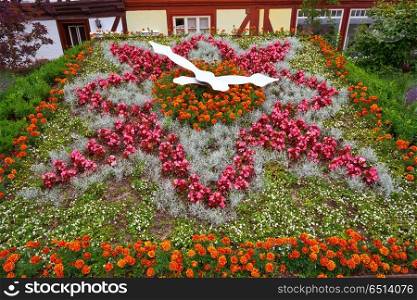 Wernigerode flower clock garden in Harz Germany at Saxony Anhalt. Wernigerode flower clock in Harz Germany