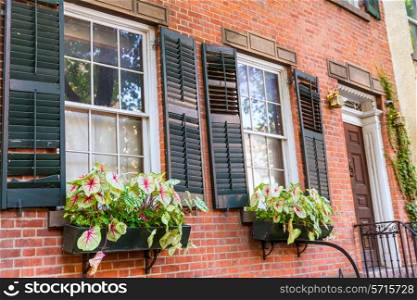 West Village in New York Manhattan flowers window facades USA NYC