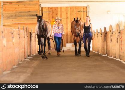 Western ride, relations through passion concept. Cowgirl in cowboy hat and woman jockey walking with horses in stable. Cowgirl and jockey walking with horses in stable