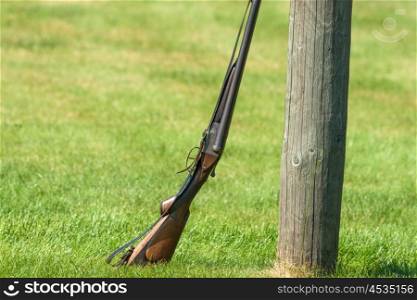 Western rifle on a green field against a log