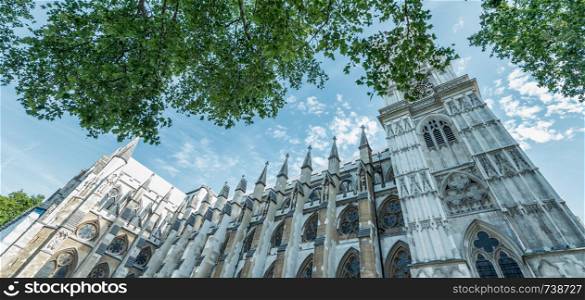 Westminster Abbey surrounded by trees, London in summer, UK