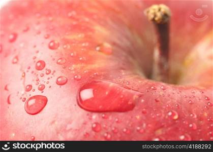 wet apple closeup