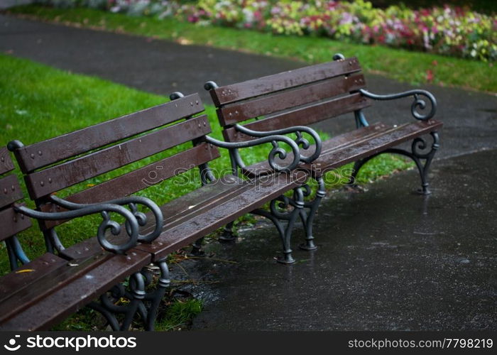 wet benches in the park on rain