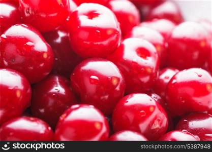 Wet cherries fruits close up as a background