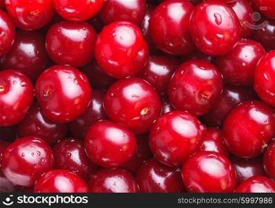 Wet cherries fruits close up as a background. Cherries as a background