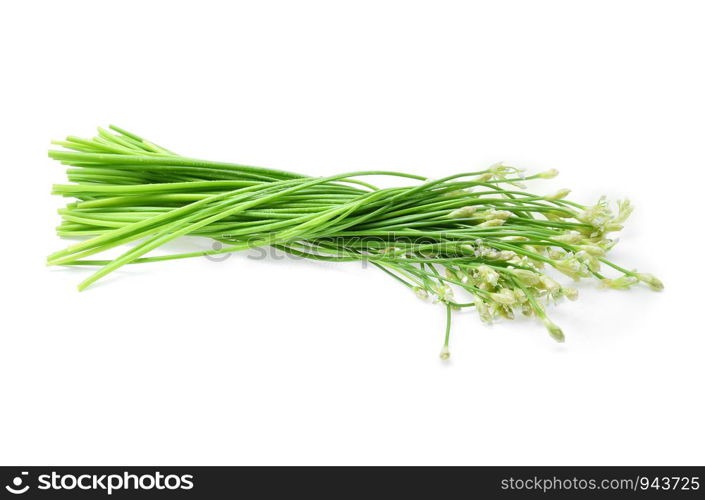 Wet Chinese chives on white background.