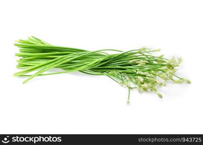 Wet Chinese chives on white background.