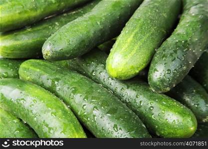 Wet cucumbers