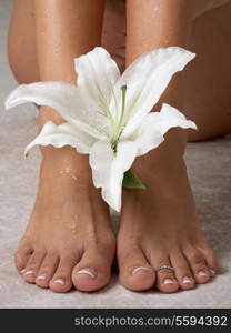 wet feet and madonna lily