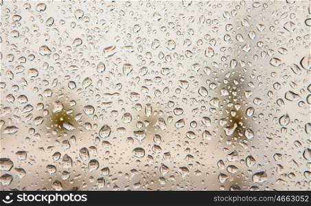 Wet glass with drops of rain fall on the street