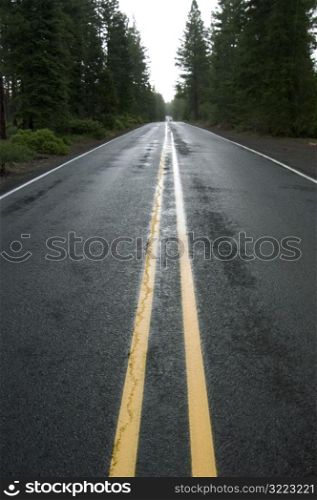 Wet Highway Through The Forest