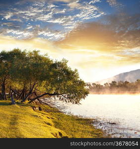 wet meadow on river bank