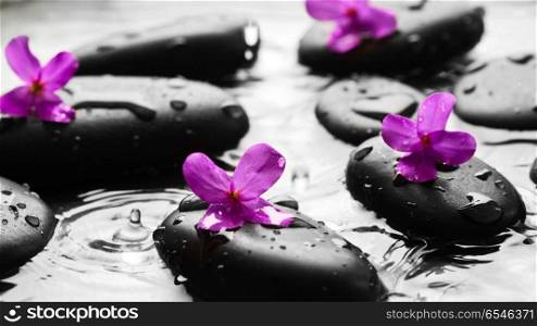 Wet pebbles with flowers background wallpaper. Wet pebbles with flowers background