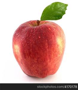 wet red apple