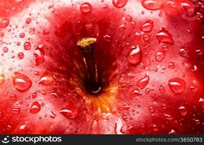 wet red delicious apple close-up