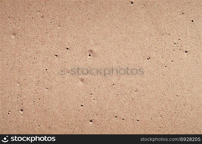 wet sand background