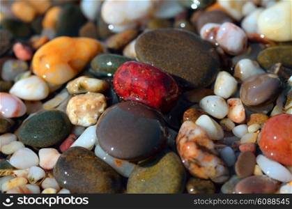 Wet sea pebbles on the seashore