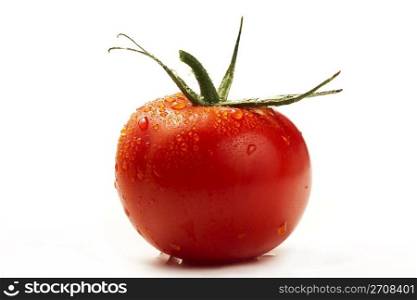 wet tomato. one red wet tomato isolated on white background
