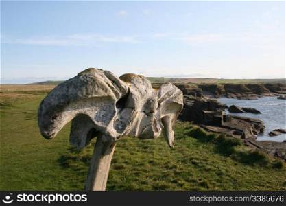 Whale bone near Brough of Birsay, Orkney