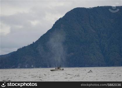 Whale surfacing by a fishing boat in the Pacific Ocean, Skeena-Queen Charlotte Regional District, Haida Gwaii, Graham Island, British Columbia, Canada