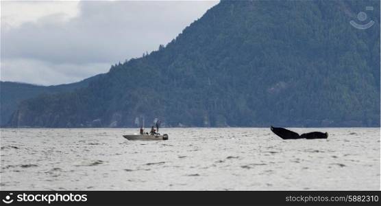 Whale with fishing boat in Pacific Ocean, Skeena-Queen Charlotte Regional District, Haida Gwaii, Graham Island, British Columbia, Canada