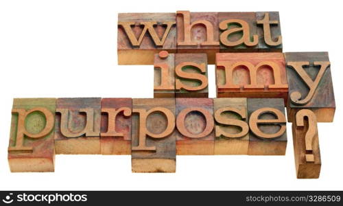 what is my purpose - spiritual and philosophical question in vintage wooden letterpress printing blocks isolated on white