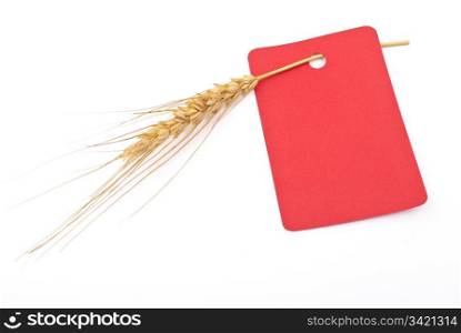Wheat ear with red tag