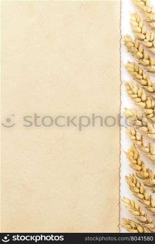 wheat ears and parchment isolated on white background