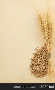 wheat ears and parchment texture