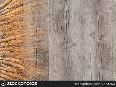 Wheat ears on the wood background