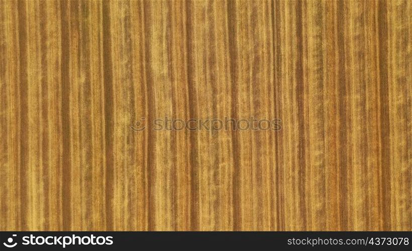 Wheat field. Aerial view on a field with beveled cereals and the village. Shooting from a drone. texture with lines.. Wheat field. Aerial view on a field with beveled cereals and the village. Shooting from a drone. texture with lines