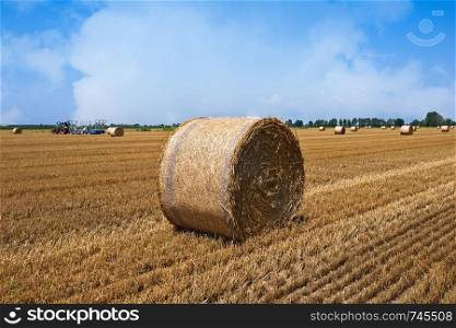Wheat field after harvest with straw bales.