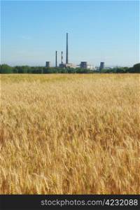 Wheat field and chimneys of factories