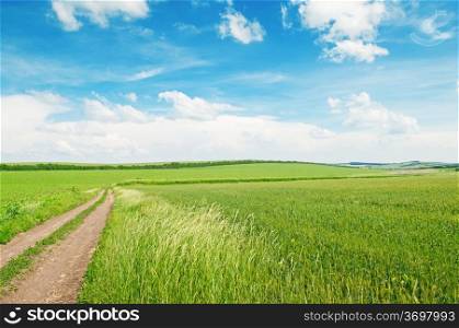 wheat field country road and blue sky
